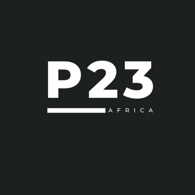 Read more about the article P23 AFRICA: REMOTE PERSONAL ASSISTANT NEEDED